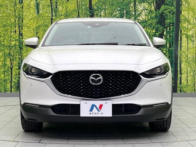 Mazda CX-30 2023-03 189512-14