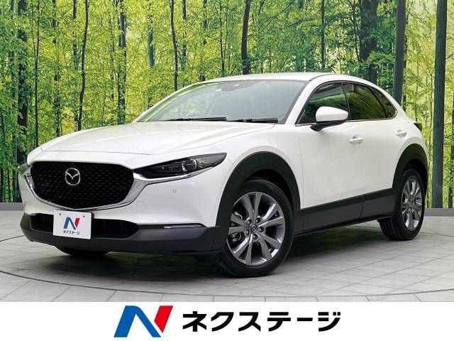 Mazda CX-30 2023-03 189512-0