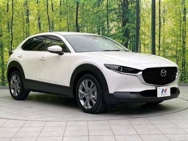 Mazda CX-30 2023-03 189512-16