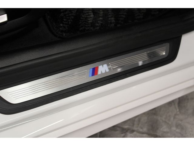 Bmw 5 SERIES 2018-08 9251-19
