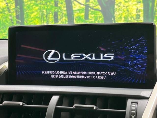 Lexus NX 2018-11 19554-3