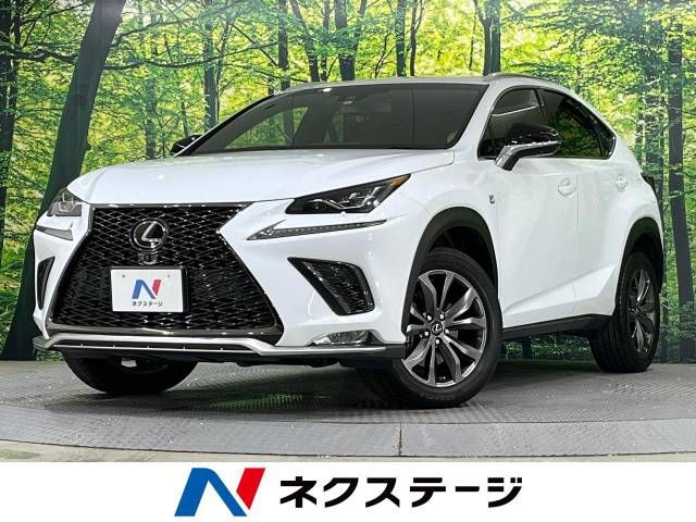 Lexus NX 2018-11 19554-0