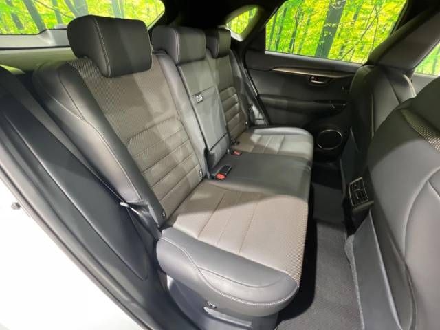 Lexus NX 2018-11 19554-15