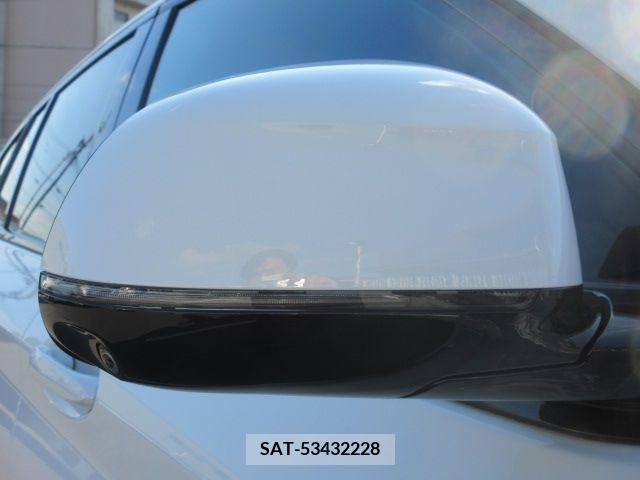Bmw X4 2021-09 205107-7