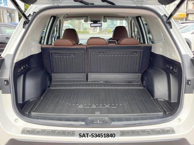 Subaru FORESTER 2019-07 204499-10