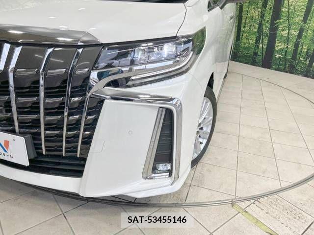 Toyota ALPHARD 2018-03 224198-13