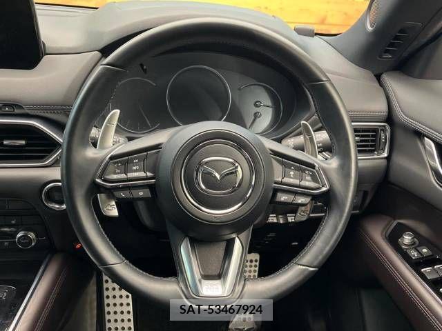 Mazda CX-8 2019-06 308595-12