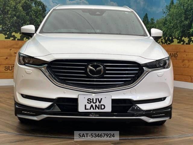 Mazda CX-8 2019-06 308595-15