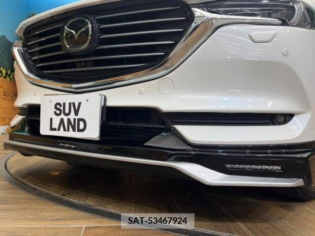 Mazda CX-8 2019-06 308595-2