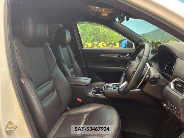 Mazda CX-8 2019-06 308595-8