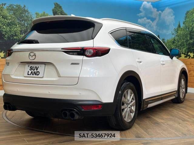 Mazda CX-8 2019-06 308595-18