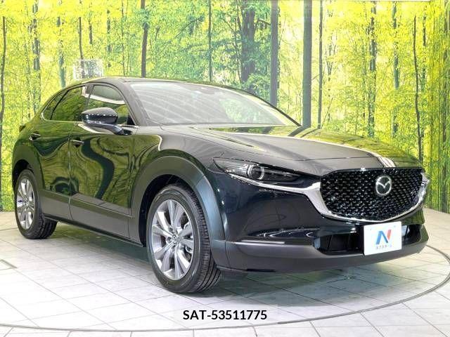 Mazda CX-30 2023-03 207088-16