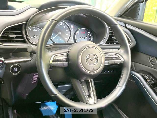 Mazda CX-30 2023-03 207088-11