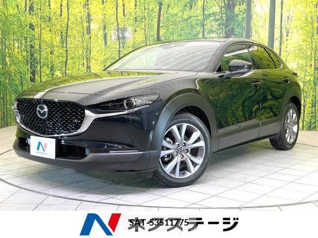 Mazda CX-30 2023-03 207088-0