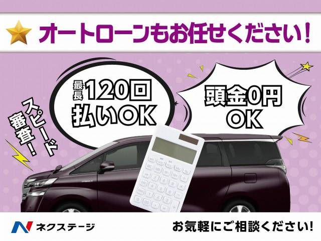 Nissan SERENA 2016-06 19484-10