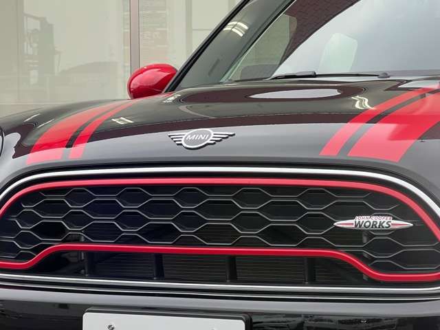 Bmw MINI 2018-01 7313-7