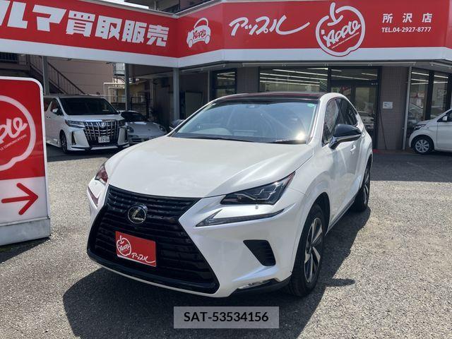 Lexus NX 2019-03 388417-0