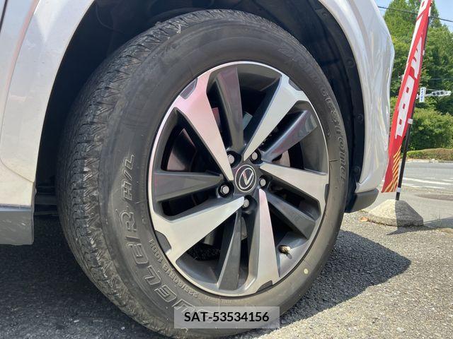 Lexus NX 2019-03 388417-11