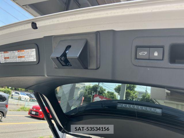 Lexus NX 2019-03 388417-10