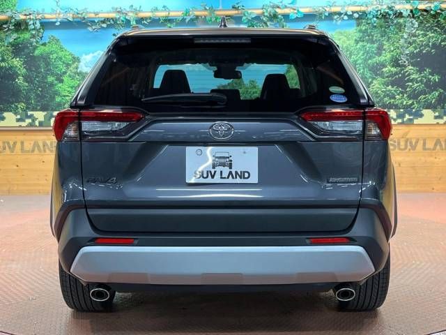 Toyota RAV4 2020-02 19157-17