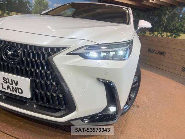 Lexus NX 2023-03 276048-12