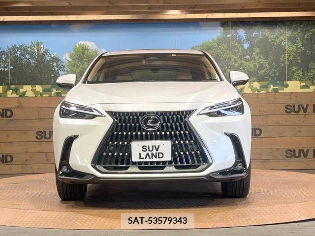 Lexus NX 2023-03 276048-14