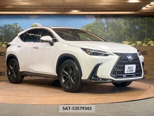 Lexus NX 2023-03 276048-16