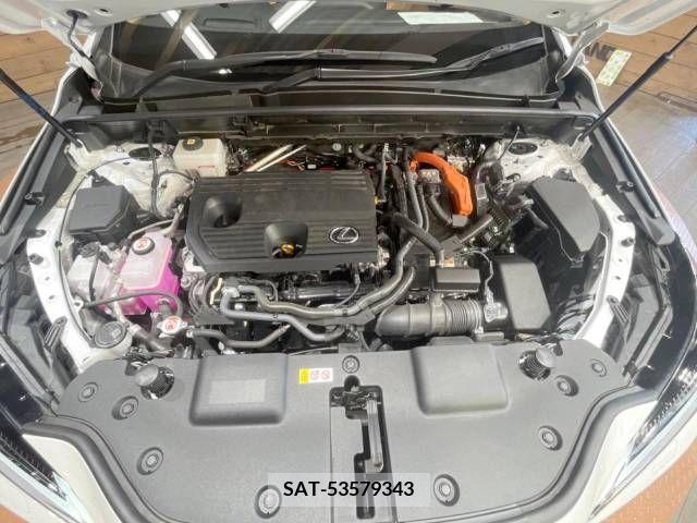 Lexus NX 2023-03 276048-18