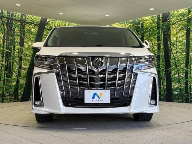 Toyota ALPHARD 2022-06 181699-16