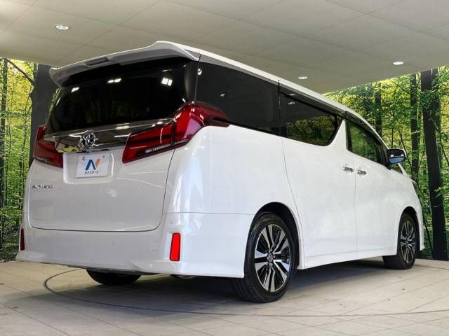 Toyota ALPHARD 2022-06 181699-19