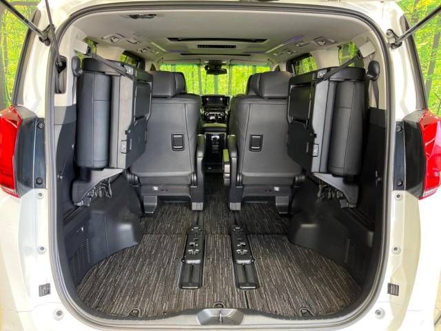 Toyota ALPHARD 2022-06 181699-12