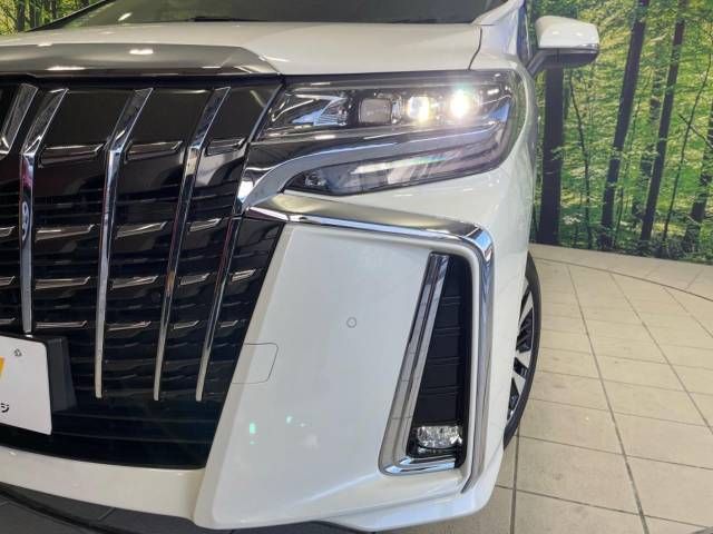 Toyota ALPHARD 2022-06 181699-14
