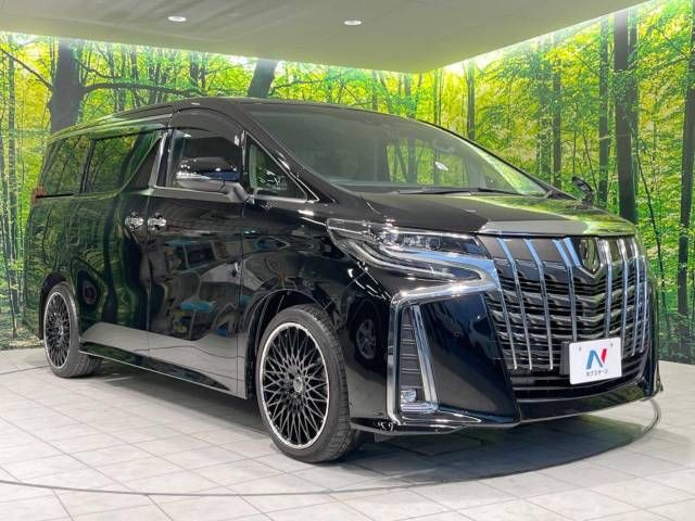 Toyota ALPHARD 2019-03 187011-17