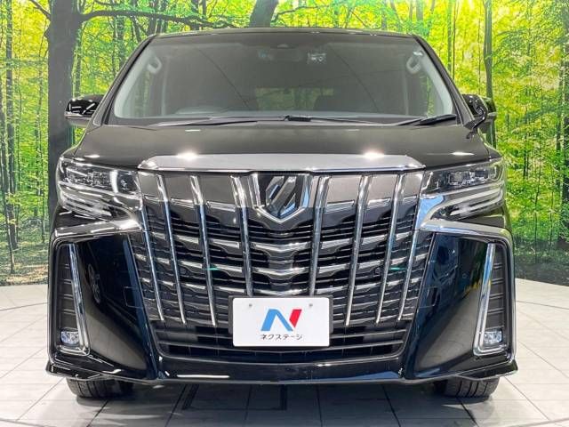 Toyota ALPHARD 2019-03 187011-15