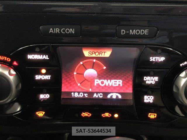 Nissan JUKE 2011-03 362232-16