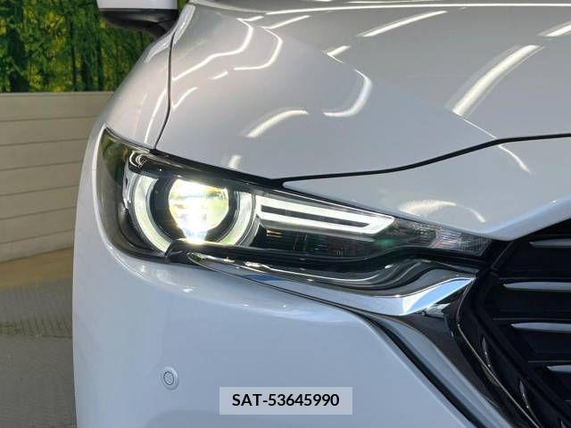 Mazda CX-8 2019-03 210844-12