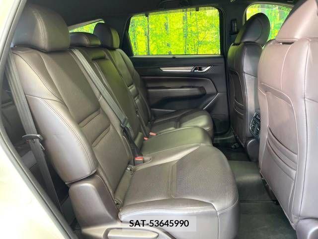 Mazda CX-8 2019-03 210844-9