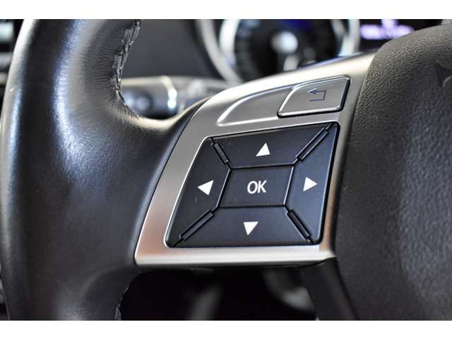 Mercedes Benz G-CLASS 2014-01 21064-12