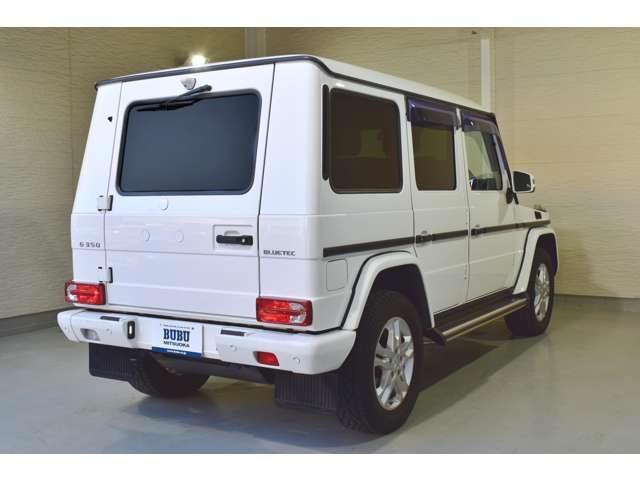 Mercedes Benz G-CLASS 2014-01 21064-2