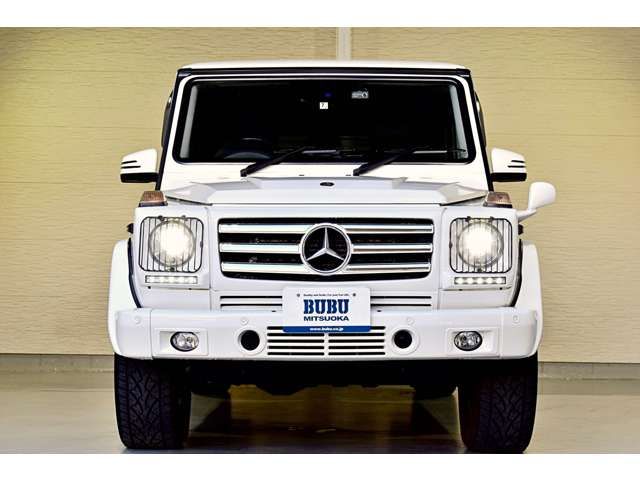 Mercedes Benz G-CLASS 2014-01 21064-1