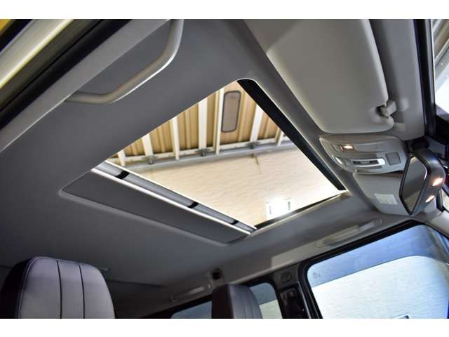 Mercedes Benz G-CLASS 2014-01 21064-16