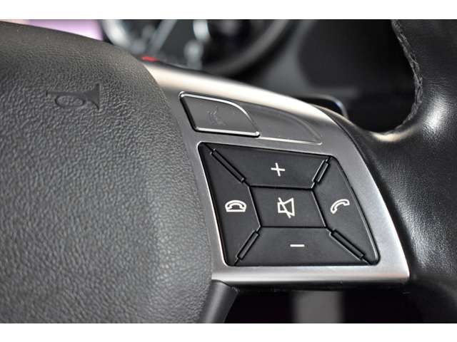 Mercedes Benz G-CLASS 2014-01 21064-13