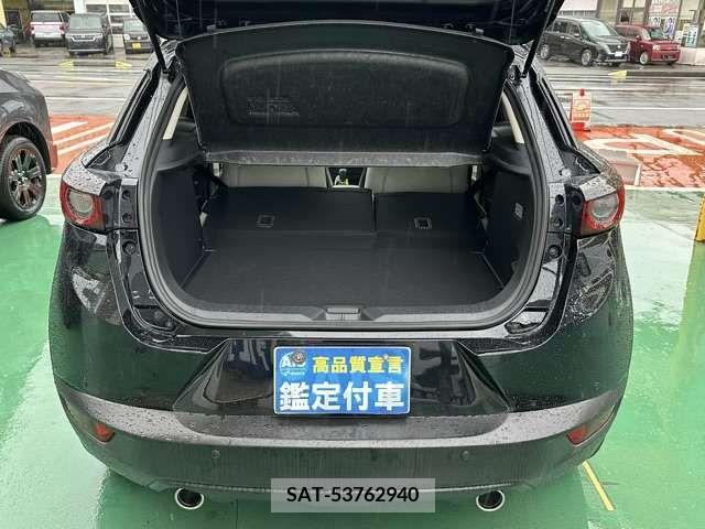 Mazda CX-3 2022-01 295516-14