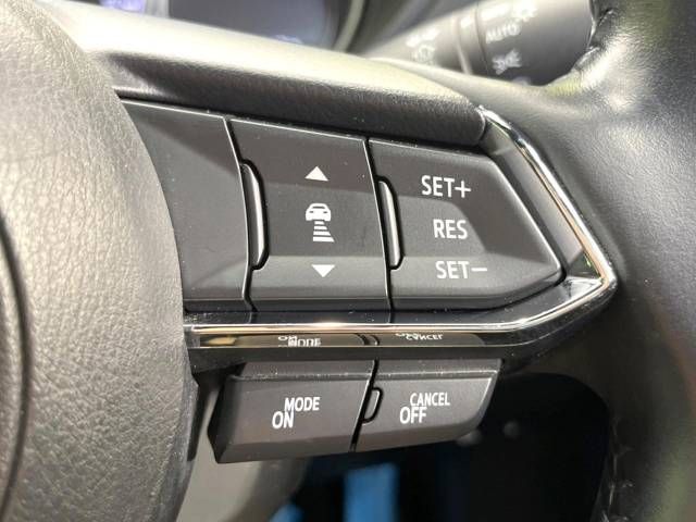 Mazda CX-8 2019-01 5152-7