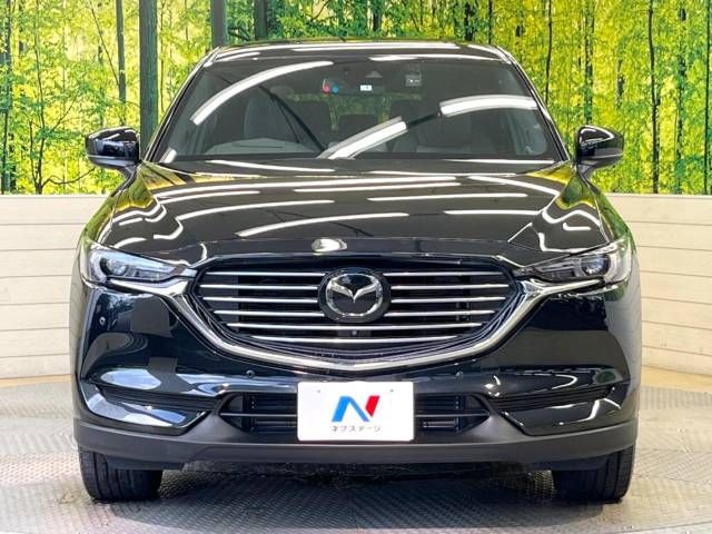 Mazda CX-8 2019-01 5152-14