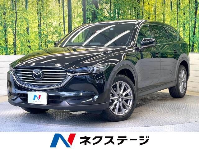 Mazda CX-8 2019-01 5152-0
