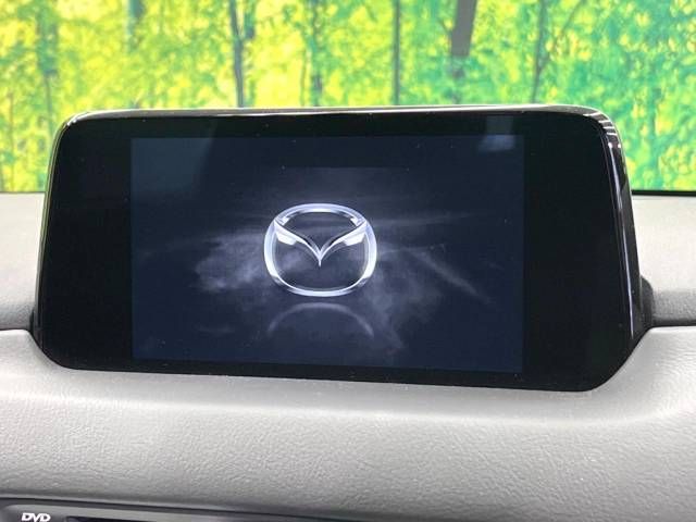 Mazda CX-8 2019-01 5152-3