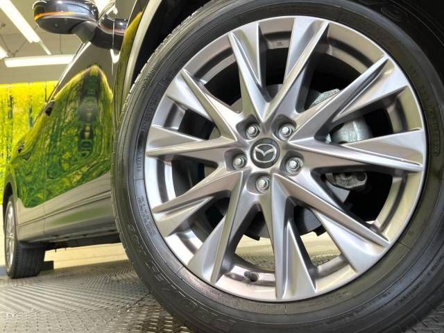 Mazda CX-8 2019-01 5152-13