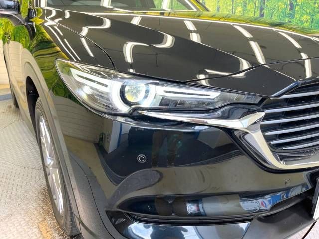 Mazda CX-8 2019-01 5152-12