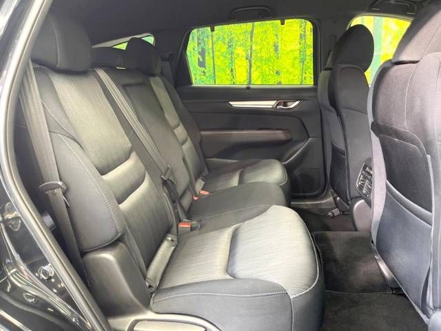 Mazda CX-8 2019-01 5152-9